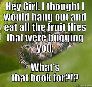 helpful_spider.jpg