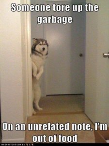 garbage_torn_up.jpg