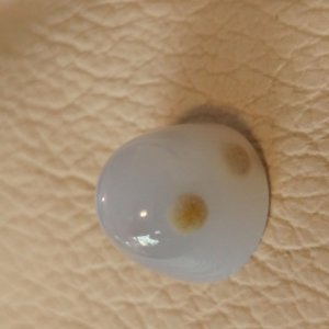 20161008_101027_hdr.jpg