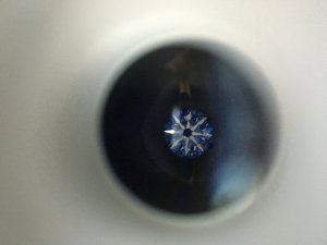 img_12913.jpg