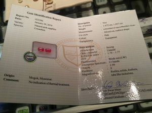 pinkear4.jpg