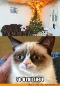tumblrtree_mejkiyvg3e1qf087qo1_1280.jpg