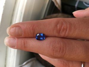 img_13038.jpg