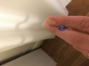 img_13050.jpg