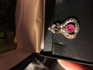 img_13115.jpg