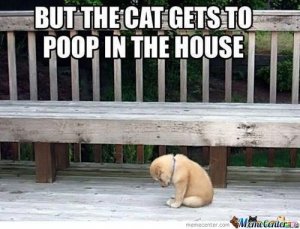 life_is_unfair_to_a_puppy.jpg