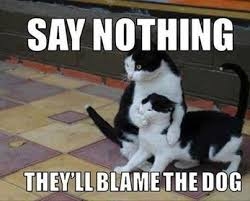 blame_the_dog.jpg