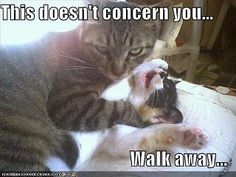walk_away.jpg