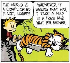 lifeiscomplicated.jpg