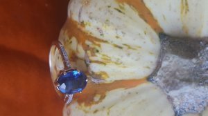 20161031_103846.jpg