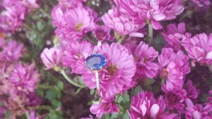 20161031_103447.jpg
