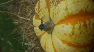 20161031_102959.jpg