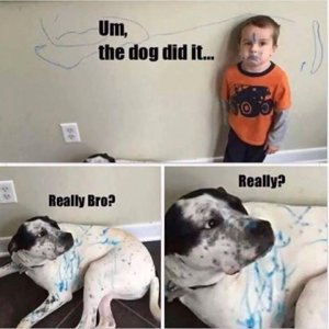thedogdidit.jpg