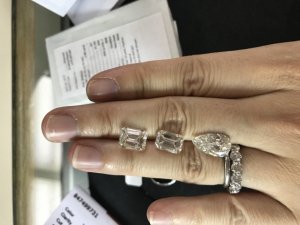 img_13533.jpg
