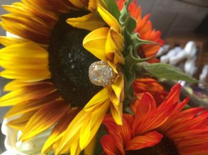 img_13565.jpg