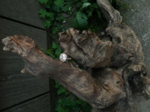 img_13585.jpg