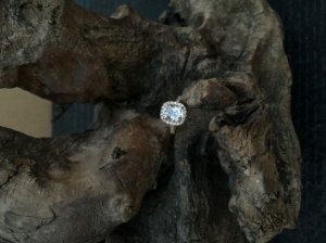 img_13586.jpg