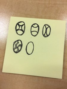 img_13604.jpg