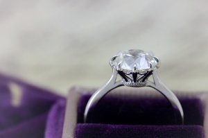img_13650.jpg