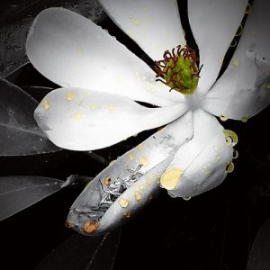 img_20150528_0.jpg