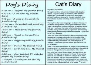 dog-cat-diary.jpg