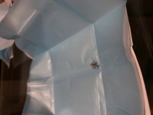 img_3925.jpeg img_3925.jpeg