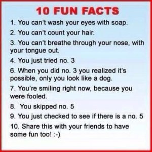 fun_facts.jpg