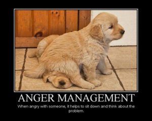 anger_management.jpg