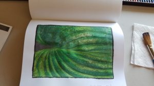 20160812_130810.jpg