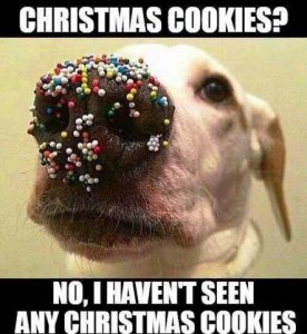 cookie_dog.jpg