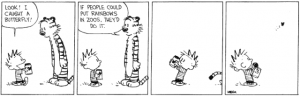 calvinhobbecompassion.png