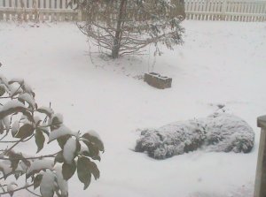 march202015c.jpg