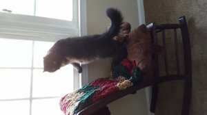 20161215_093516.jpg