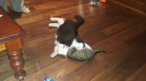 20161221_221042.jpg