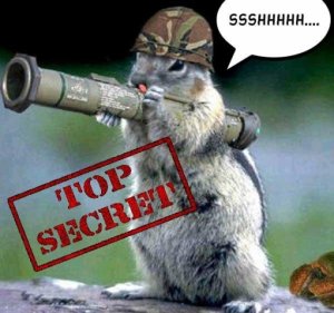 top_secret.jpg