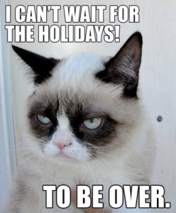 holidays-over-grumpy-cat-meme.jpg