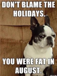funny-dog-memes-holiday-weight-fat.jpg