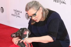 fisher1-gettyimages-522444438-768x514.jpg