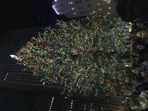 img_0357.jpg