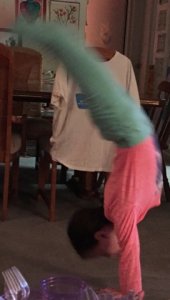 img_14313.jpg img_14313.jpg