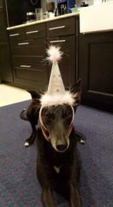 birthday_princess.jpg