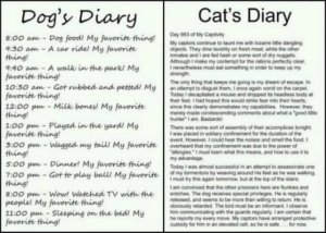 dogsdiary.jpg