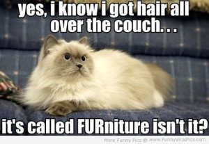 furniture.jpg