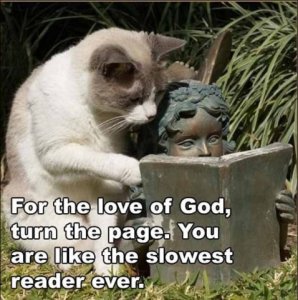 slow_reader.jpg