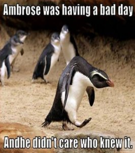 bad_day.jpg