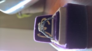 wp_20161122_10_23_30_pro.jpg