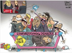 congressdems.jpg