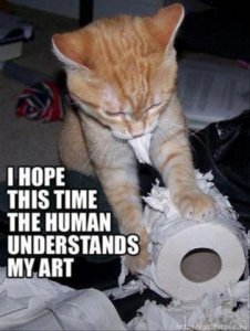 funny-cat-pictures-with-captions-1.jpg