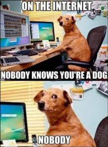 internet-dog-memes.jpg