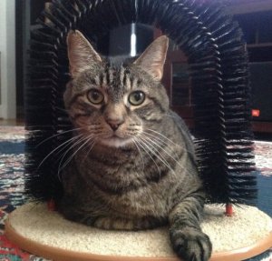 charlie_modeling.jpg